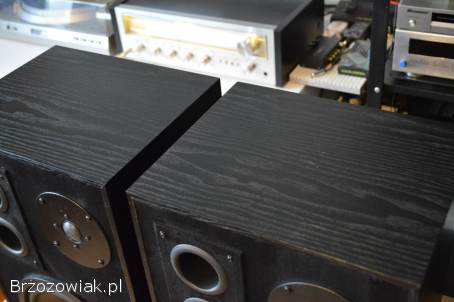 Udany DIY Projekt Canton/Tonsil Kolumny 2-drożne Podstawkowe Wysyłka