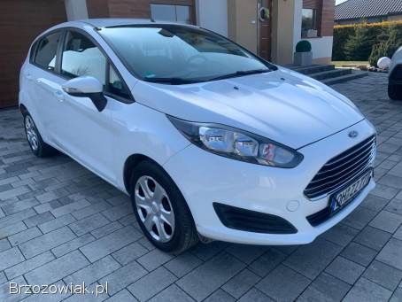 Ford Fiesta 2013