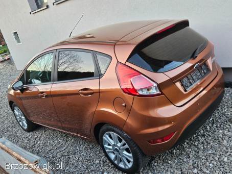 Ford Fiesta 1.  25 2015/2016 2015