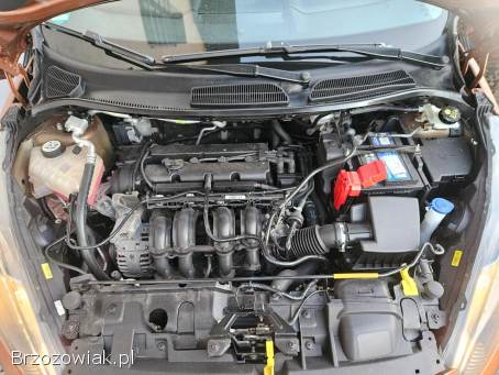 Ford Fiesta 1.  25 2015/2016 2015