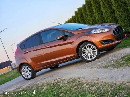 Ford Fiesta 1.  25 2015/2016 2015