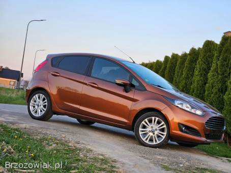 Ford Fiesta 1.  25 2015/2016 2015