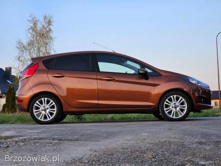Ford Fiesta 1.  25 2015/2016 2015