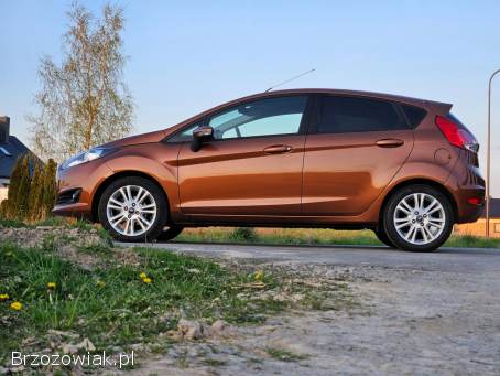 Ford Fiesta 1.  25 2015/2016 2015