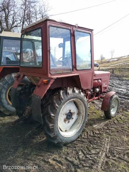 Władymirec t 25