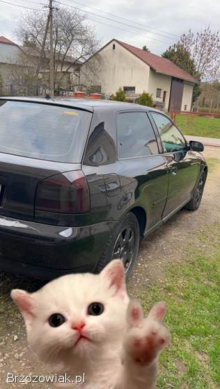 Audi A3 8l 2002