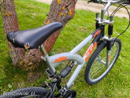 Rower KTM 26