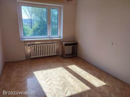 Do wynajęcia 3 lokale usługowe Brzozów dobra lokalizacja!