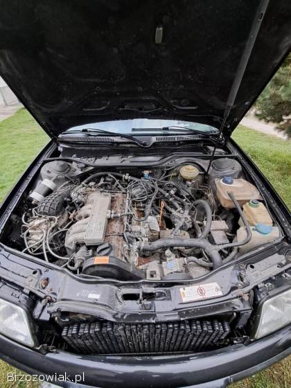 Audi 100 1991