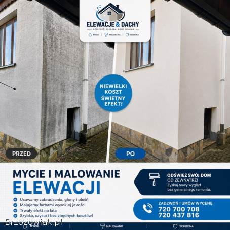 Malowanie i mycie dachów elewacji