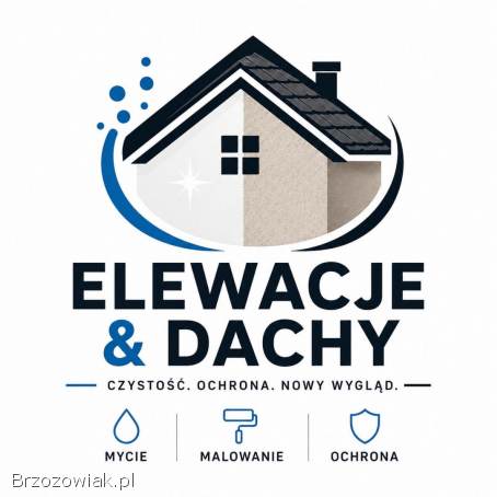 Malowanie i mycie dachów elewacji