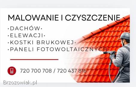 Malowanie i mycie dachów elewacji
