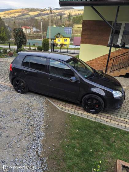 Volkswagen Golf 5 2.  0 GTI 2005