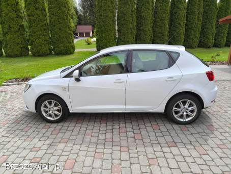 Seat Ibiza 2013