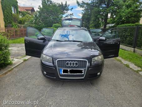 Audi A3 8P 2006