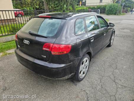 Audi A3 8P 2006