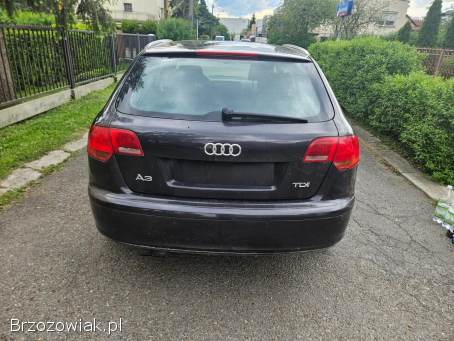 Audi A3 8P 2006