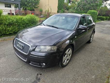 Audi A3 8P 2006