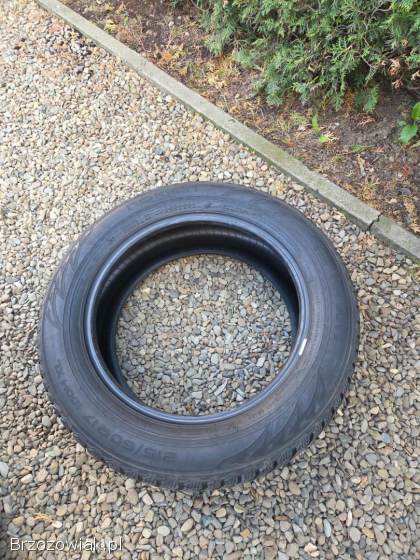 Opony zimowe 17 215/60 Nokian