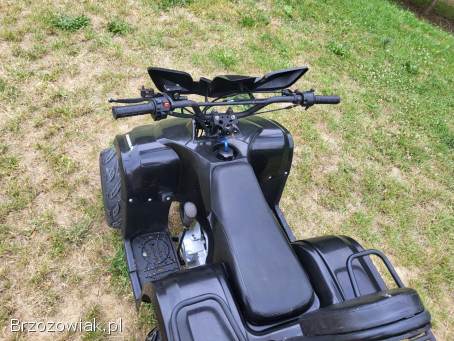 Quad 125 3+1