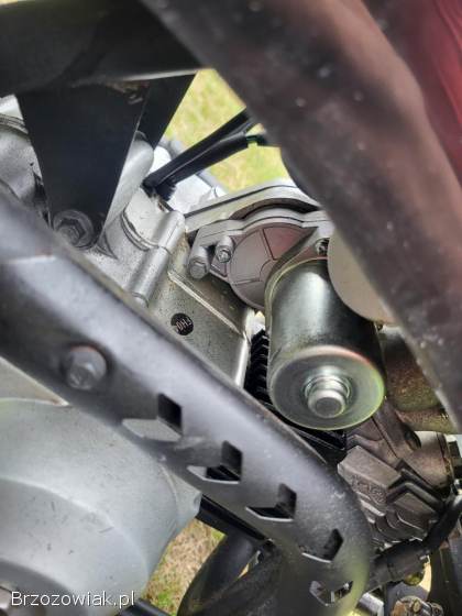 Quad 125 3+1