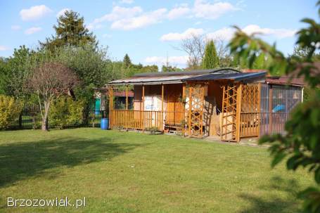 Sprzedam działkę -  ROD „Jeleniówka” (działka nr 78) w Krośnie