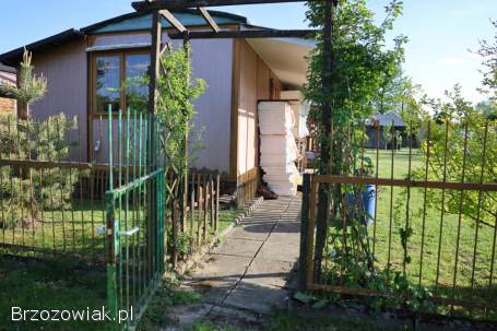 Sprzedam działkę -  ROD „Jeleniówka” (działka nr 78) w Krośnie