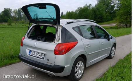 Peugeot 207 SW 2007
