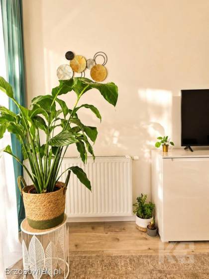 Apartament Sanoczanka -  40,  5m2