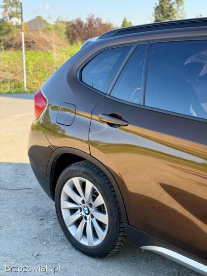 BMW X1 2010