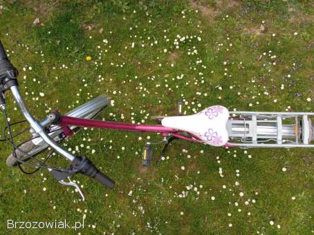 Rower koła 24