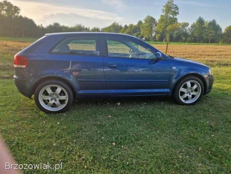 Audi A3 8P 2006