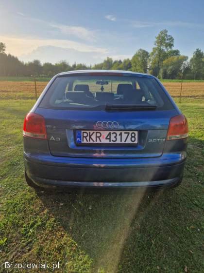 Audi A3 8P 2006