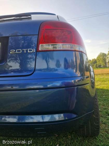 Audi A3 8P 2006