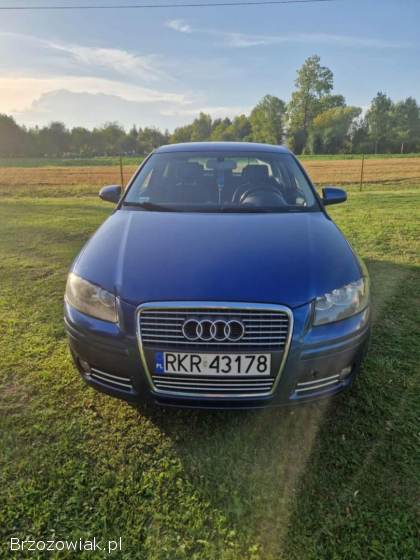 Audi A3 8P 2006