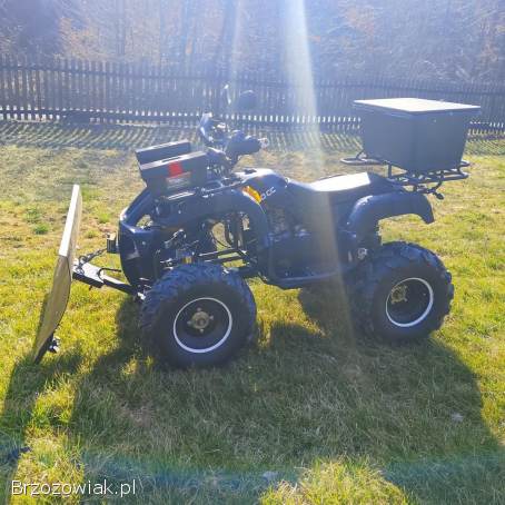 Quad 250 z pługiem