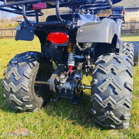 Quad 250 z pługiem