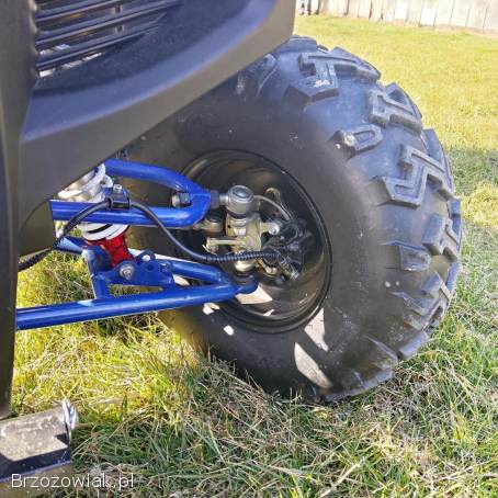 Quad 250 z pługiem