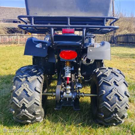 Quad 250 z pługiem