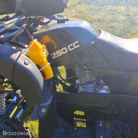 Quad 250 z pługiem