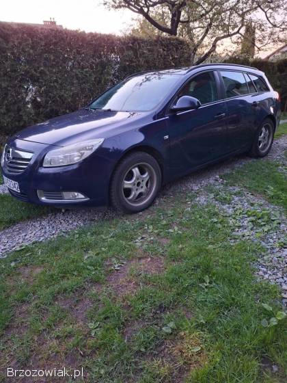 Opel Insignia Diesel 110km 2010