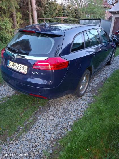 Opel Insignia Diesel 110km 2010