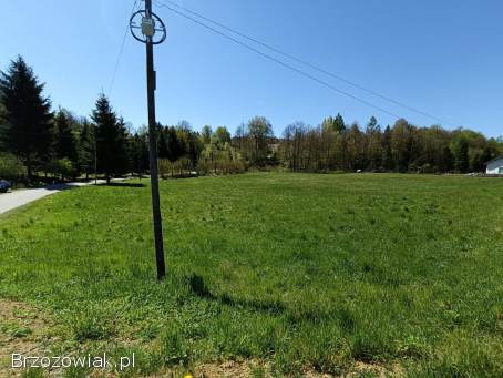 Orzechówka 3 dzialki pod Twój nowy dom