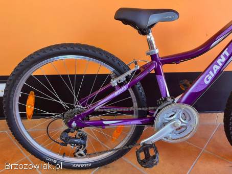 Rower dziecięcy GIANT 24” / Aluminium / 3x7 Shimano / Wysyłka
