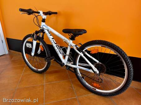 Rower dziecięcy Focus 24” / Aluminium / 3x7 Shimano / Wysyłka