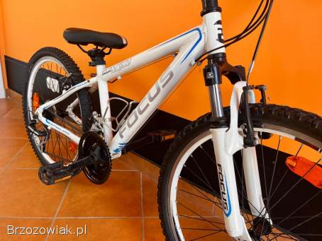 Rower dziecięcy Focus 24” / Aluminium / 3x7 Shimano / Wysyłka