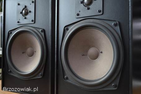 Niespotykane REVOX STUDIO 3 Analityczne i Precyzyjne Wysyłka