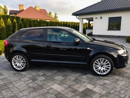 Audi A3 Z Niemiec 102Ps 2008