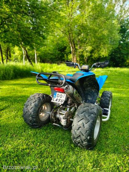 Quad Suzuki Extreme Moretti 250 / zamiana