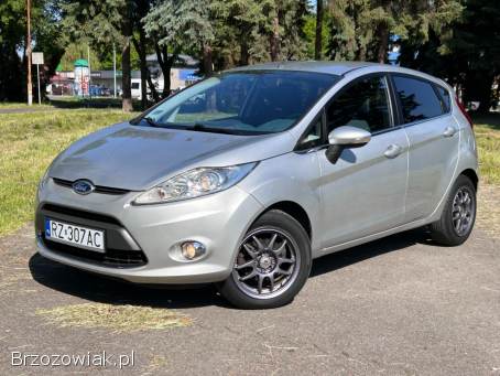 Ford Fiesta Titanium 2010